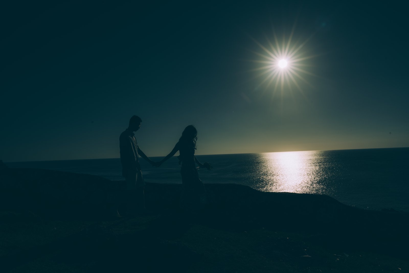 Nicholas & Novi